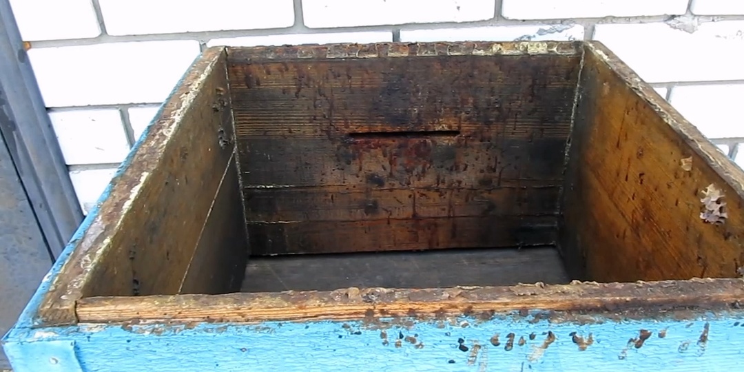 Нозематоз: Невидимый Враг Пчелиных Семей