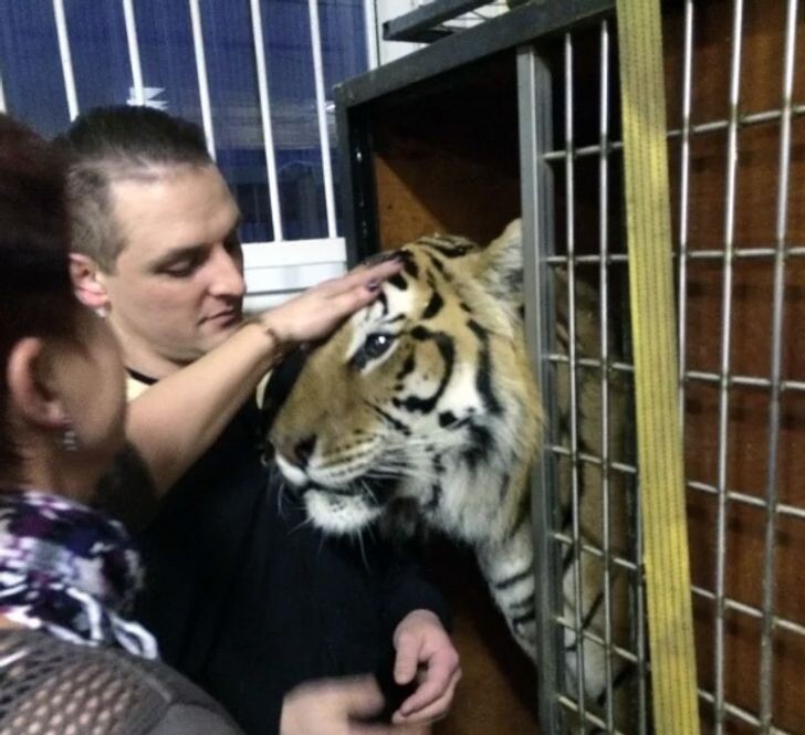 © ortustella / Pikabu