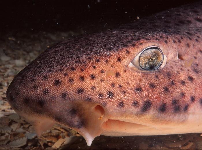 Обложка © Shutterstock / FOTODOM / valda butterworth