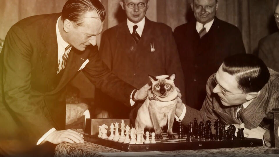 ФОТО: Кадр из программы"Тайны Чапман", РЕН ТВ