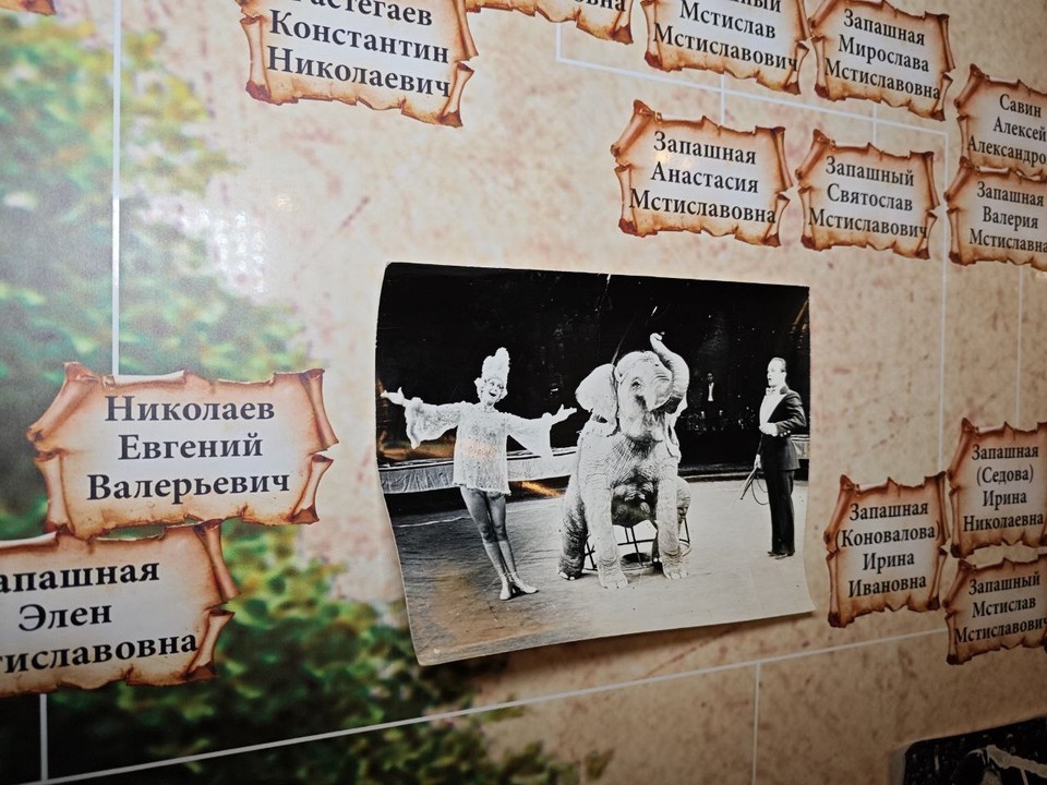    Генеалогическое древо династии Запашных Константин КНЯЗЕВ