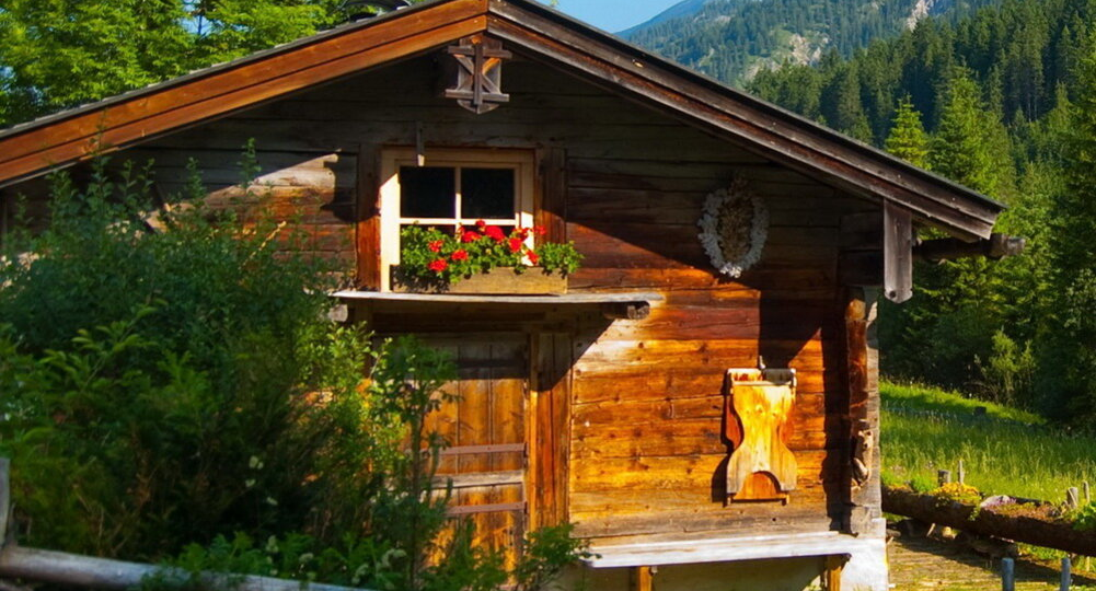 Митрофаныч и уют