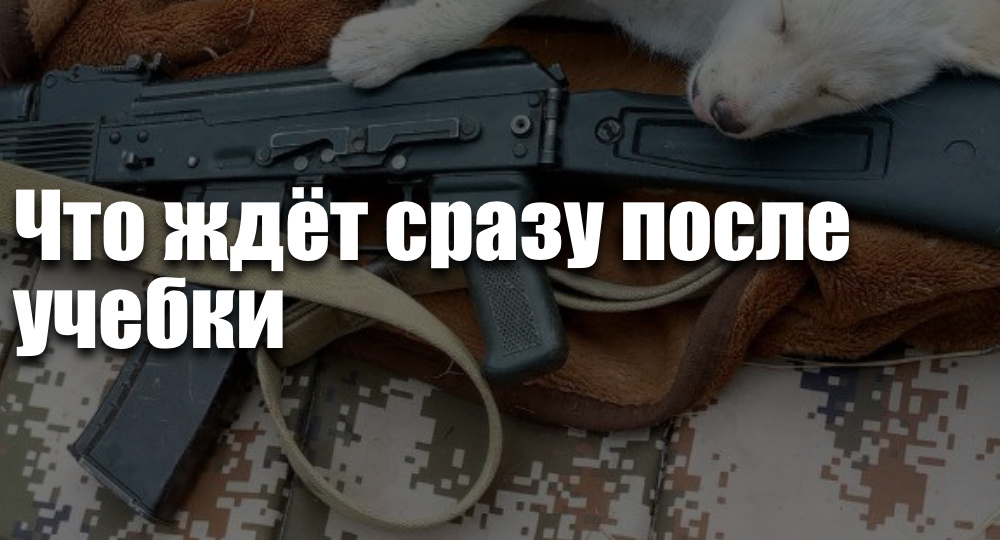Что ждёт сразу после учебки