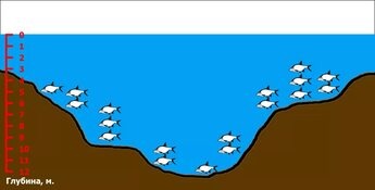 Леща ловят, учитывая выбор места, использование подходящих снастей, правильную прикормку и технику ловли. Важно учитывать особенности поведения леща в разные сезоны, например, осенью, когда рыба собирается в стаи и перемещается на глубину к зимовальным ямам. sb.byohotaktiv.ruhsn.su