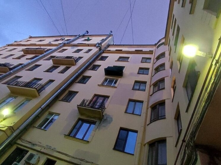     Теперь их можно заказывать у производителей из любого региона России. Фото из архива "МК в Питере"