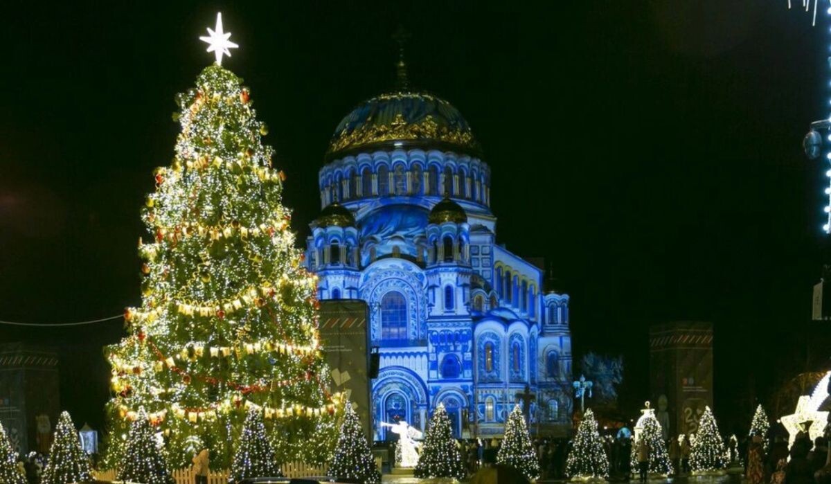     Главная елка Санкт-Петербурга. Источник: rg.ru Автор фото: Пресс-служба Смольного