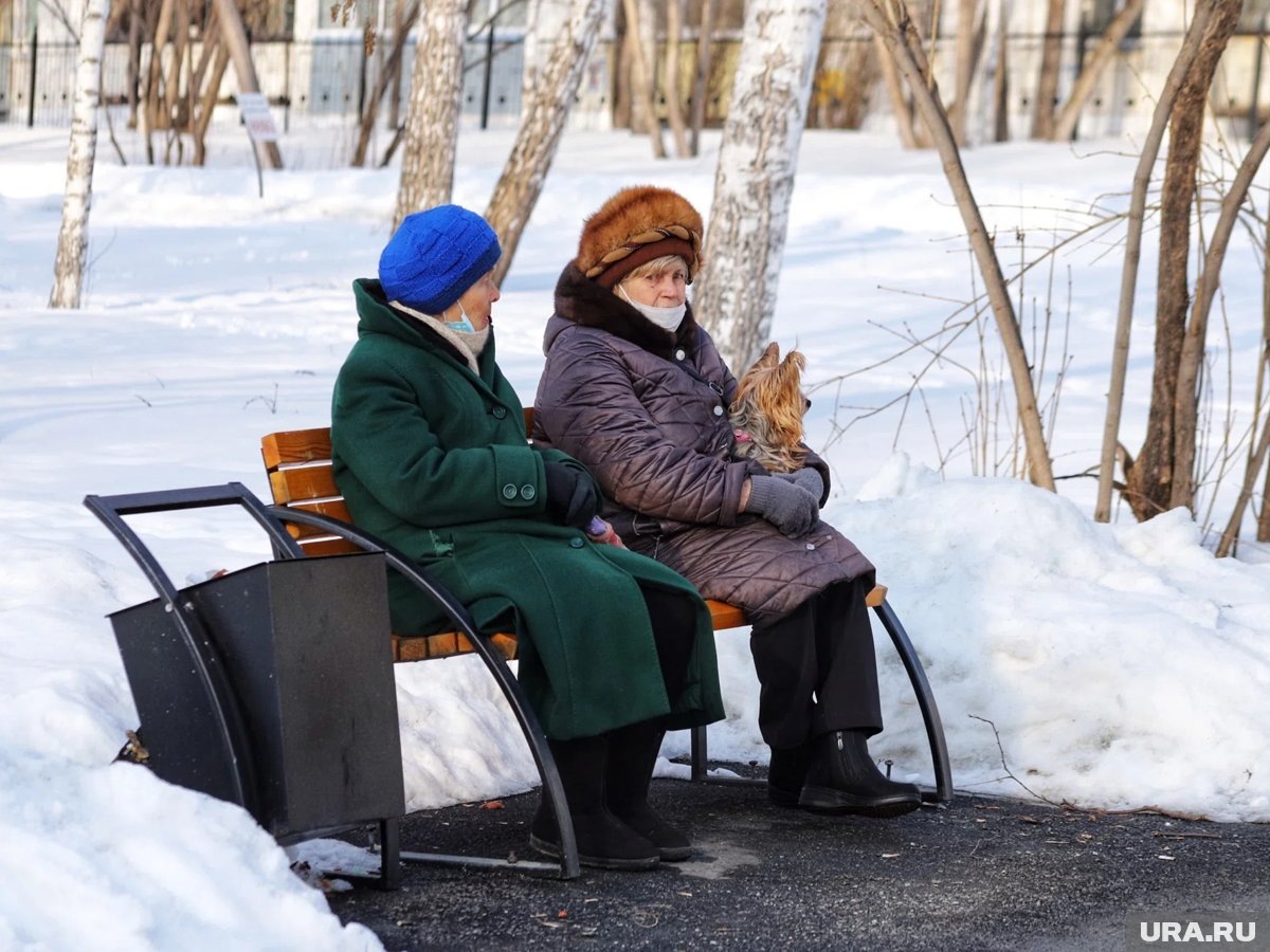     Повысят ли пенсионный возраст в 2026 году
