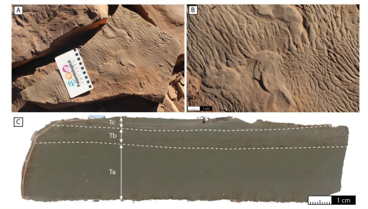    Образец, найденный в обломках, имеет текстуру «старой слоновьей кожи».