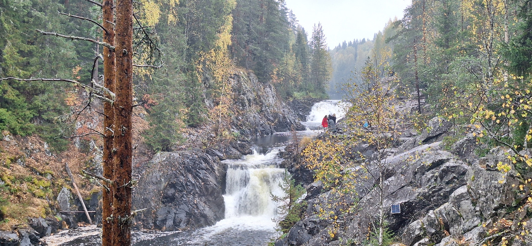 Заповедник «Кивач»: хранитель северной жемчужины