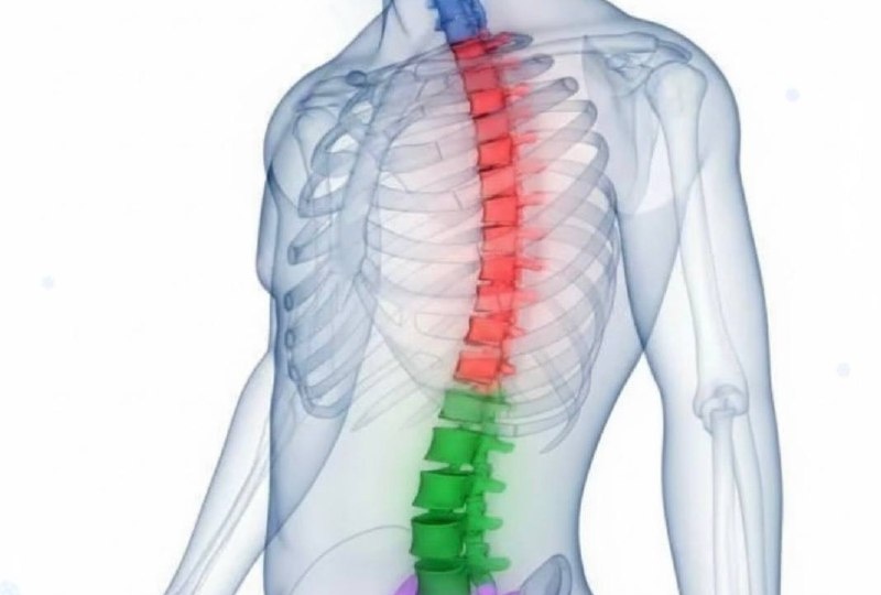 🧠 Ваша спина хранит тайны вашей жизни