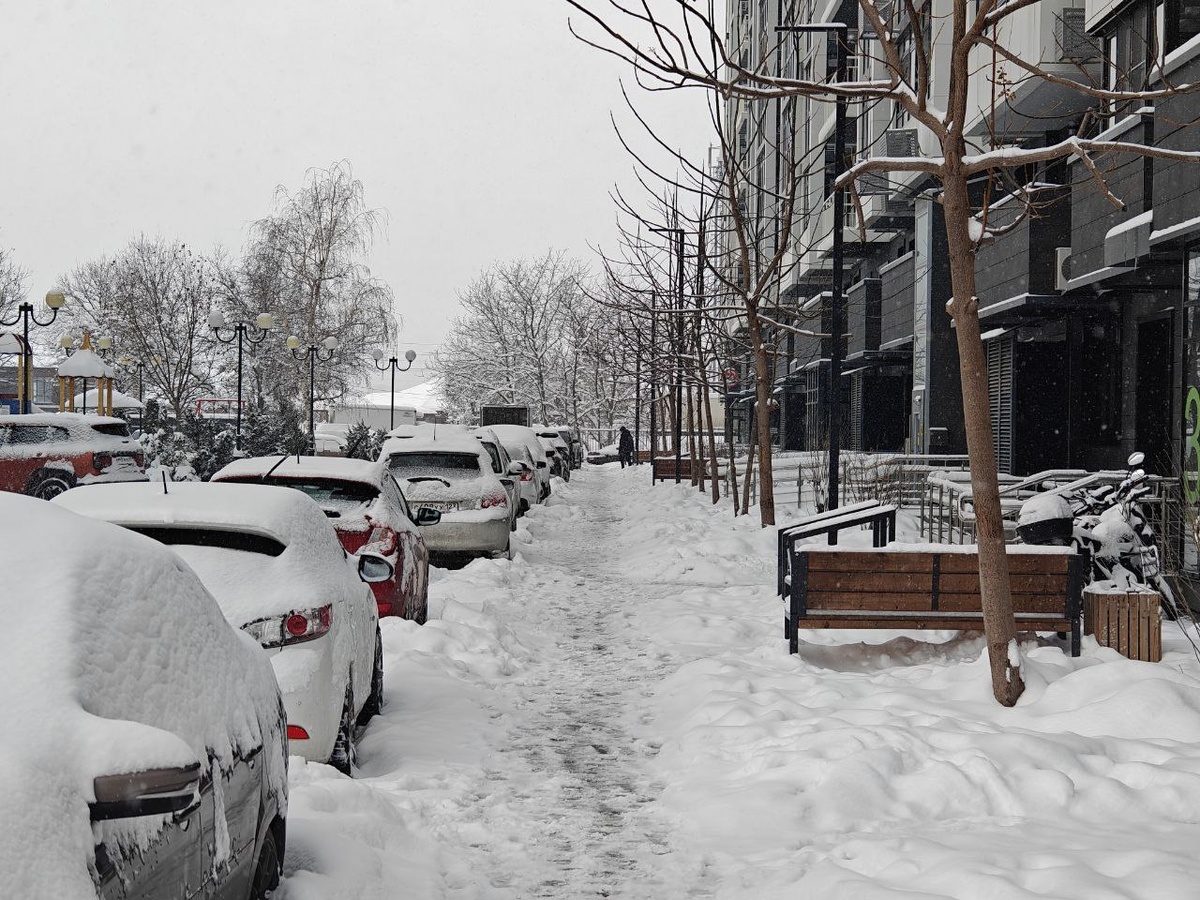    Фото: Юрий Серебренников/BFM Кубань