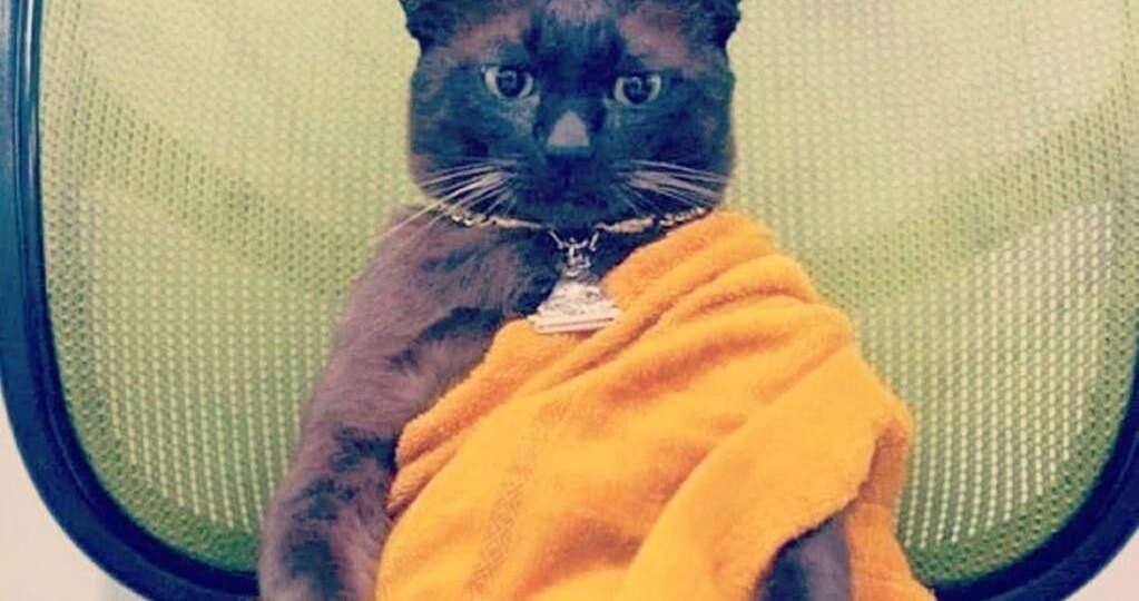 Почему с возрастом мы всё чаще думаем, что уже все знаем.