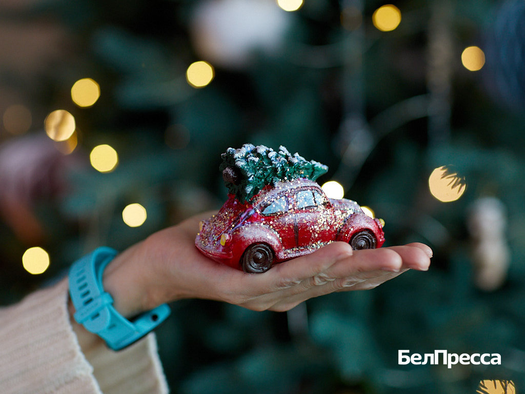     Фото: Елена Журавлёва