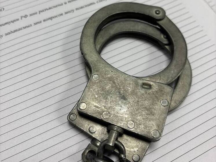     Низкий уровень преступности среди мигрантов связан с оперативностью СК. Фото: архив МК в Питере