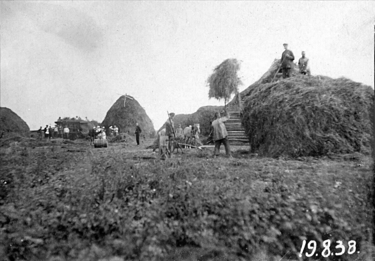 Взято из открытых источников интернета Яндекс.