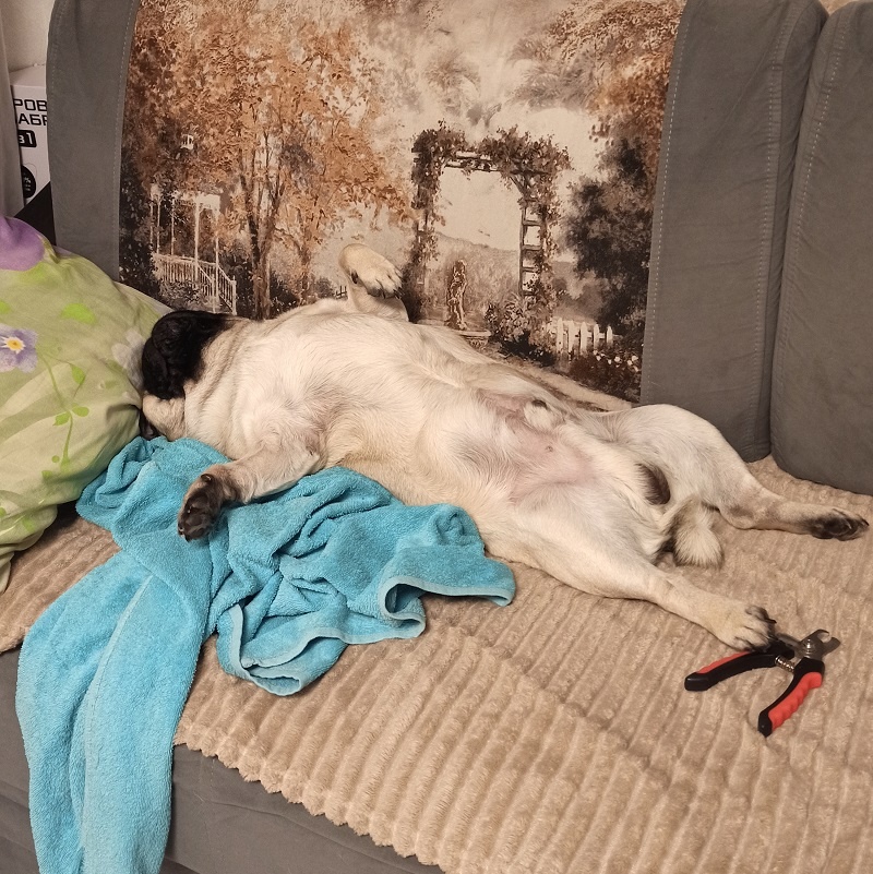 Ефим кайфует на диване.