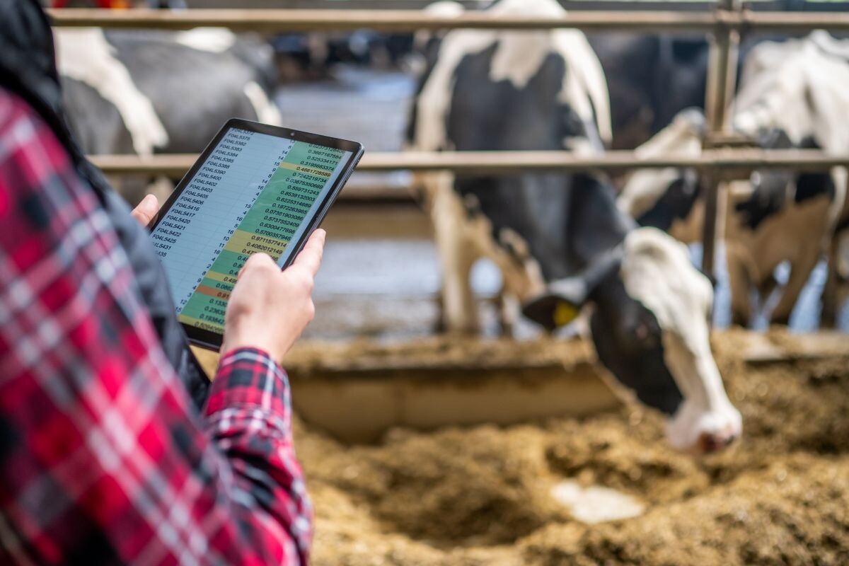 Фото: vm / GettyImages