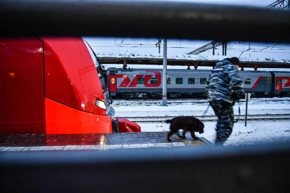    Транспортная полиция проводит проверку. Виктор ГУСЕЙНОВ