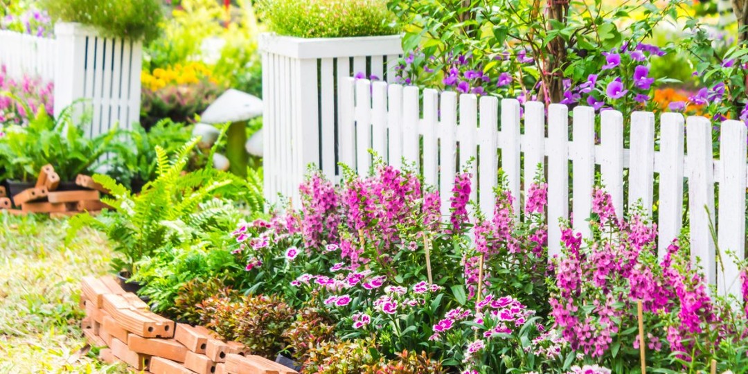 Что посадить вдоль забора — 14 самых удачных вариантов