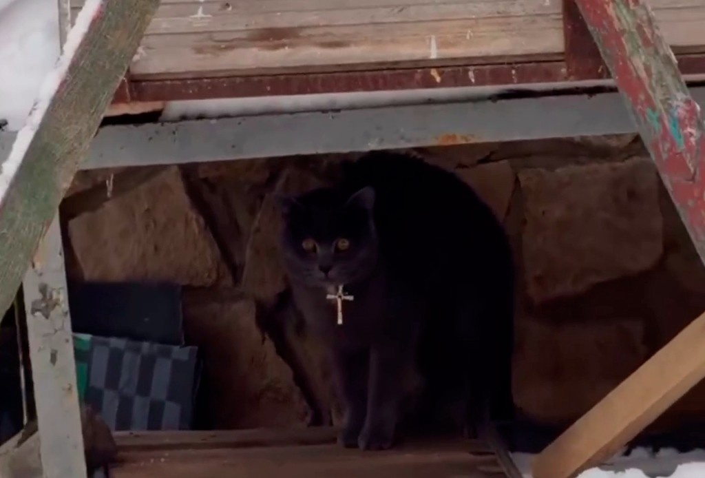    Фото © Telegram / «В Балашихе | Все новости