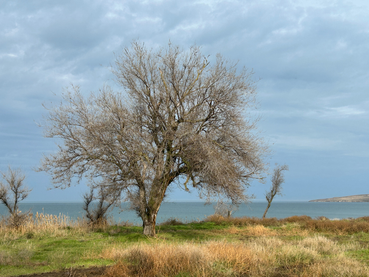 В Щёлкино на прибрежной полосе