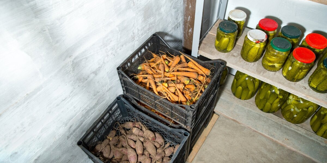 Дышит ли ваш погреб? Как я нашла причину сырости и спасла свой урожай