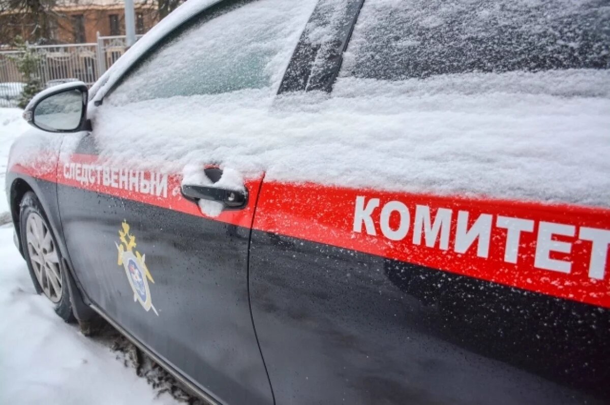    В Туле возбуждено дело о разбойном нападении на подростка