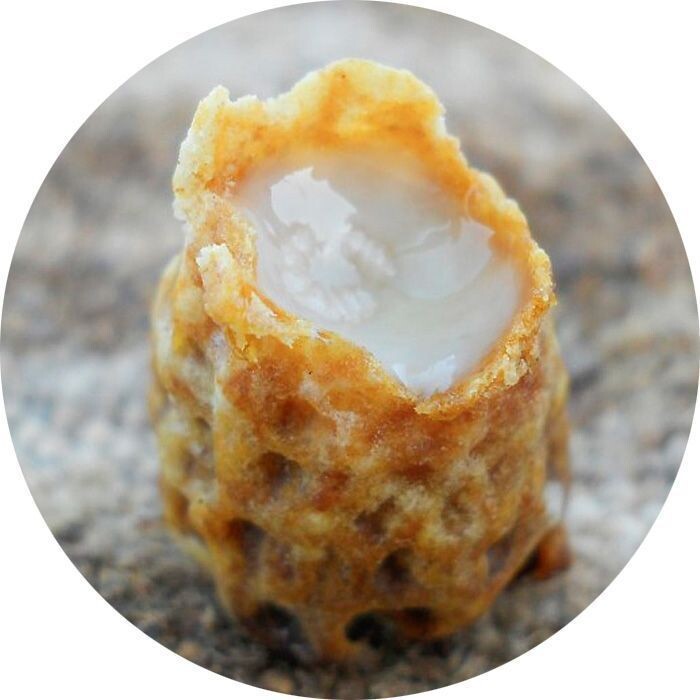 Маточное молочко в маточнике