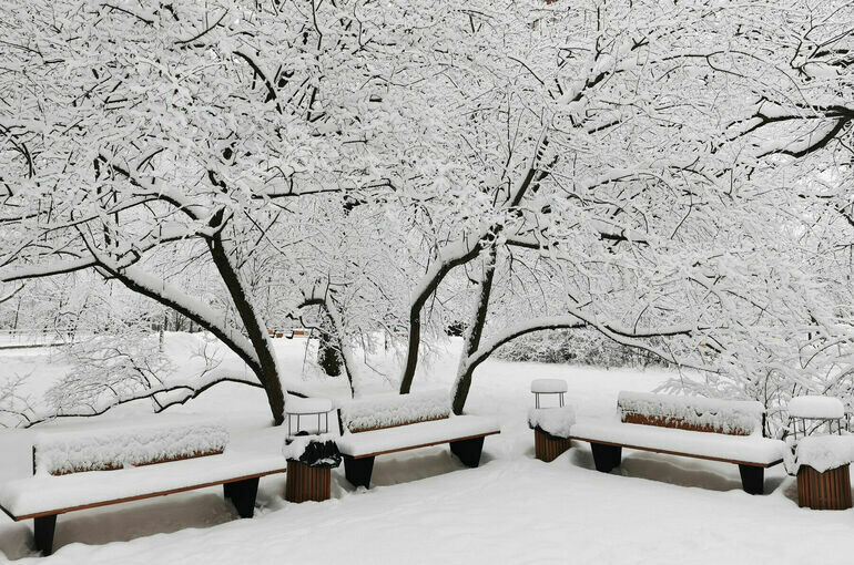   Игорь Самохвалов/«Парламентская газета»