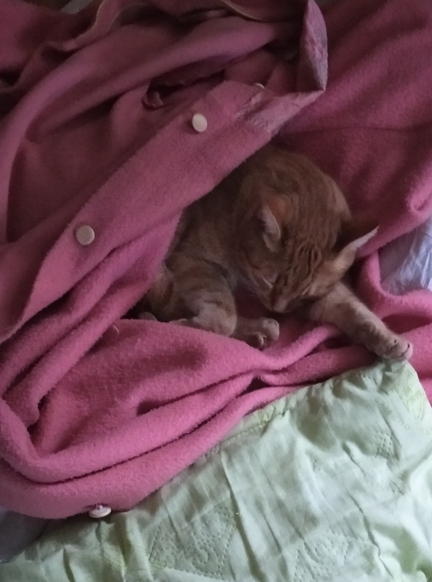 личное фото