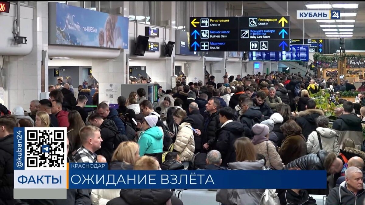    Скриншот видео телеканала «Кубань 24»