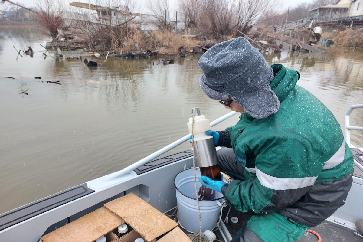    Фото: Нижне-Волжское Управление Росприроднадзора, источник: radiovolna.fm