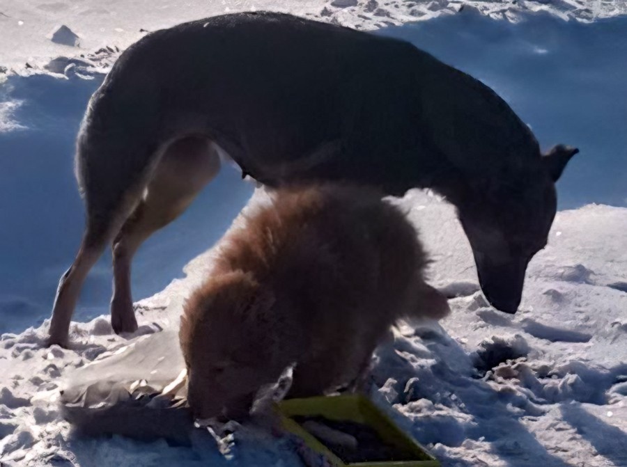     Фото из соцсетей