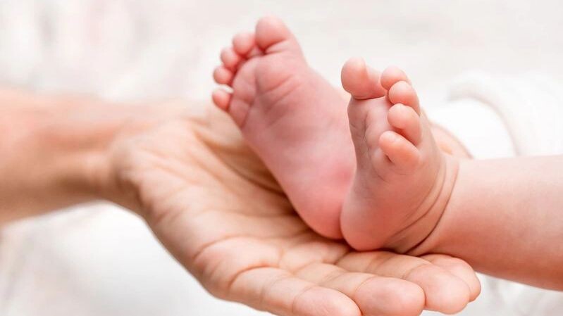    Фото: Iana Alter/Shutterstock/Fotodom