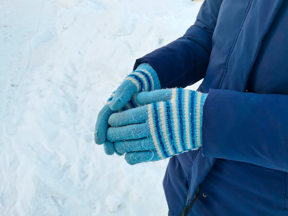    Фото: ГТРК «Карелия»