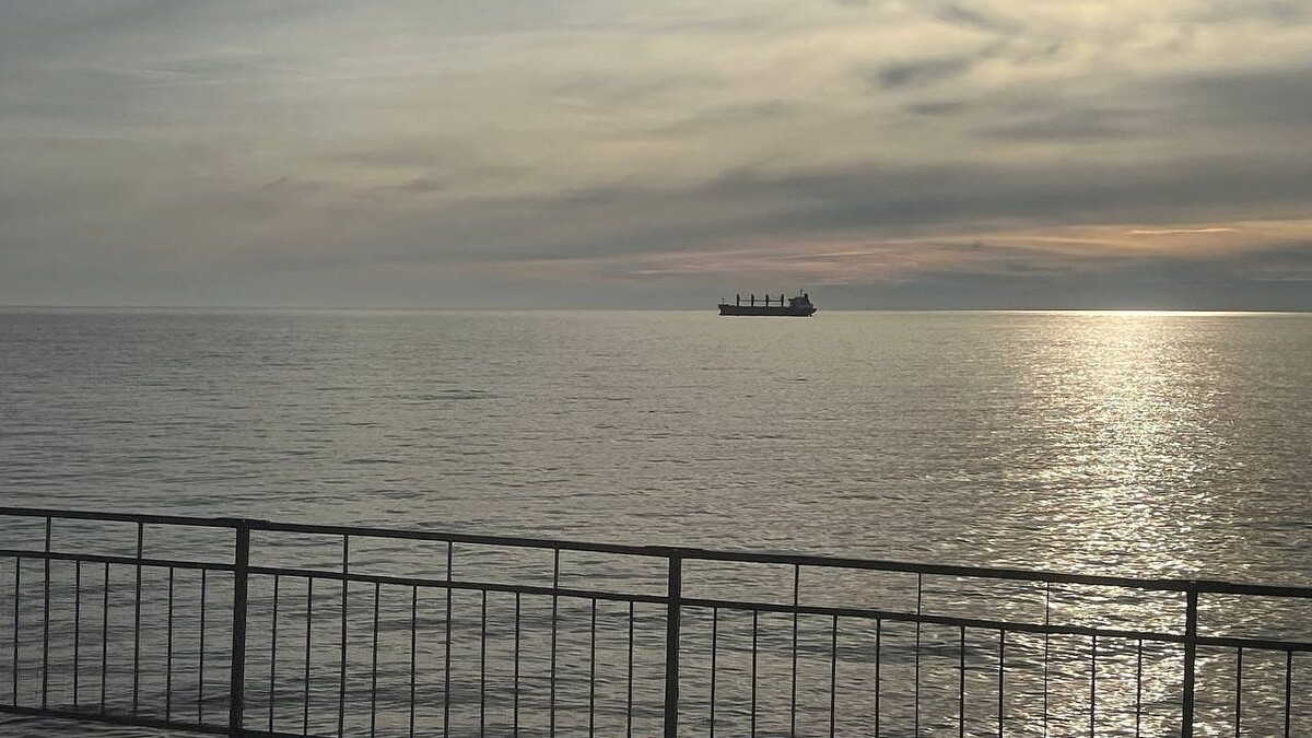    Фото: телеканал «Краснодар»