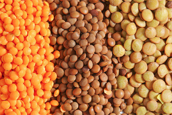 Разные виды чечевицы