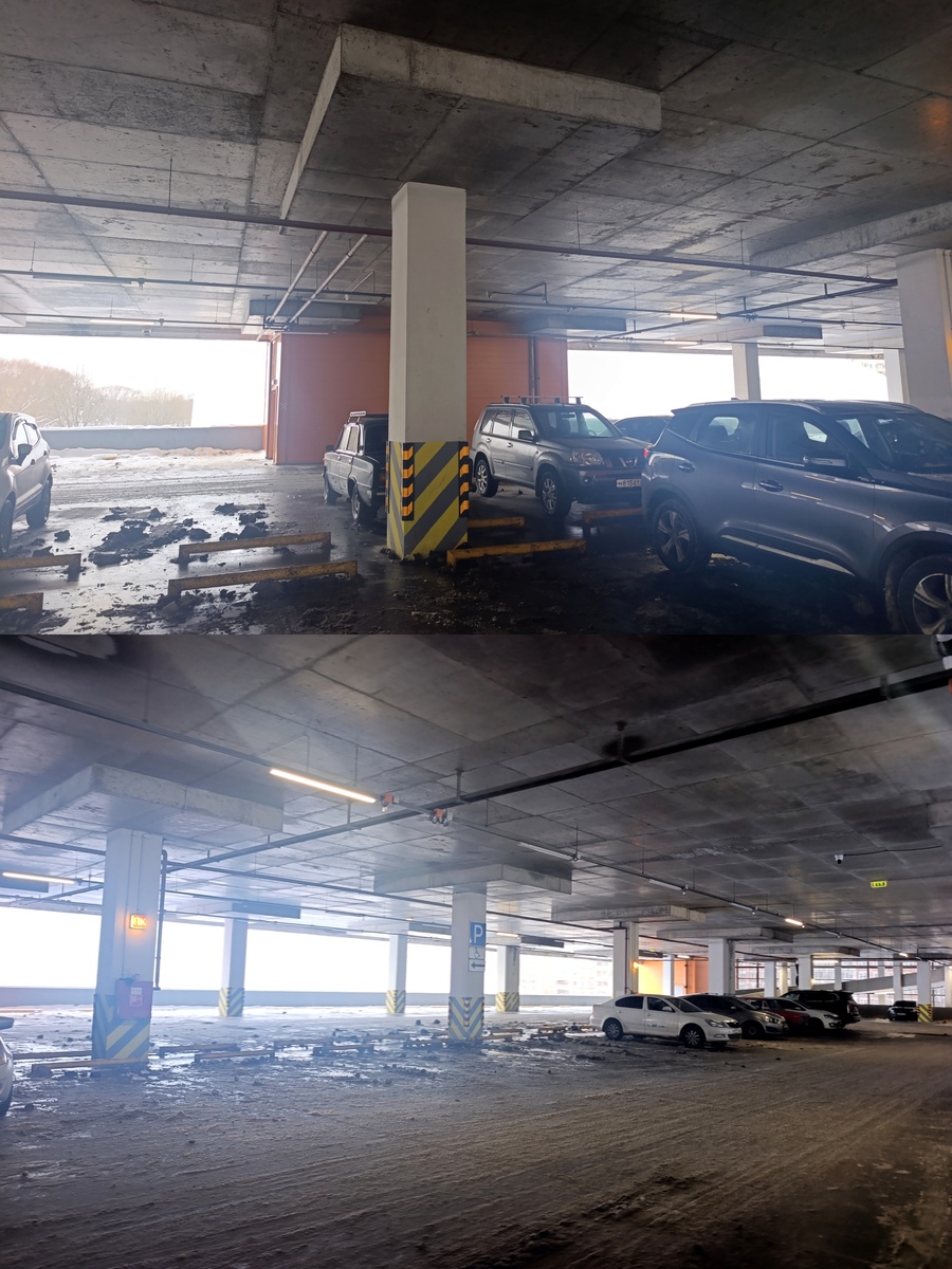 Коллаж автора. 