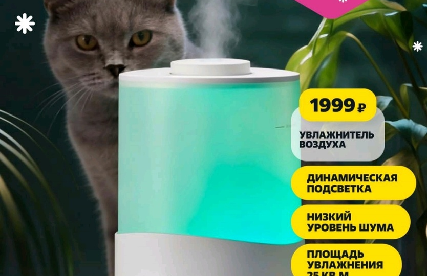 Чижик💛Анонс Каталога с 15 января 2026 года. Надо успеть в Чижике!💛 Смотрите первыми!