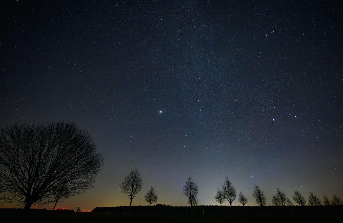     / Источник: © Global Look Press