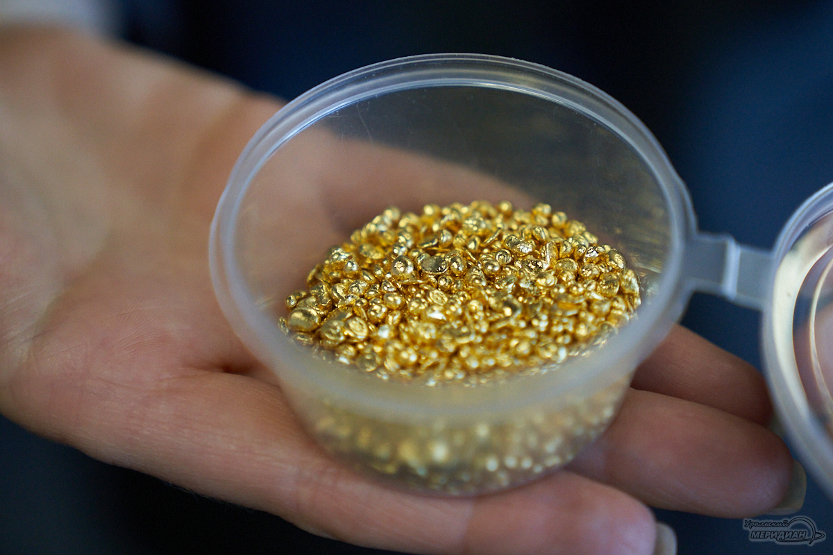    Фото: Лидия Аникина © ИА «Уральский меридиан»