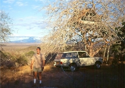 Фото Bridges Tsavorite