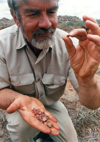 Кэмпбэлл Бриджес, первооткрыватель цаворита