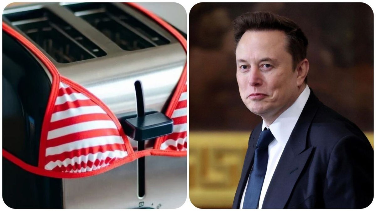 Илон Маск: "Grok может надеть бикини на что угодно"