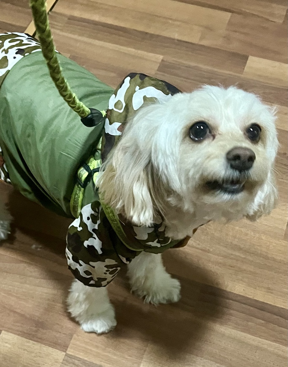 Клиент готов