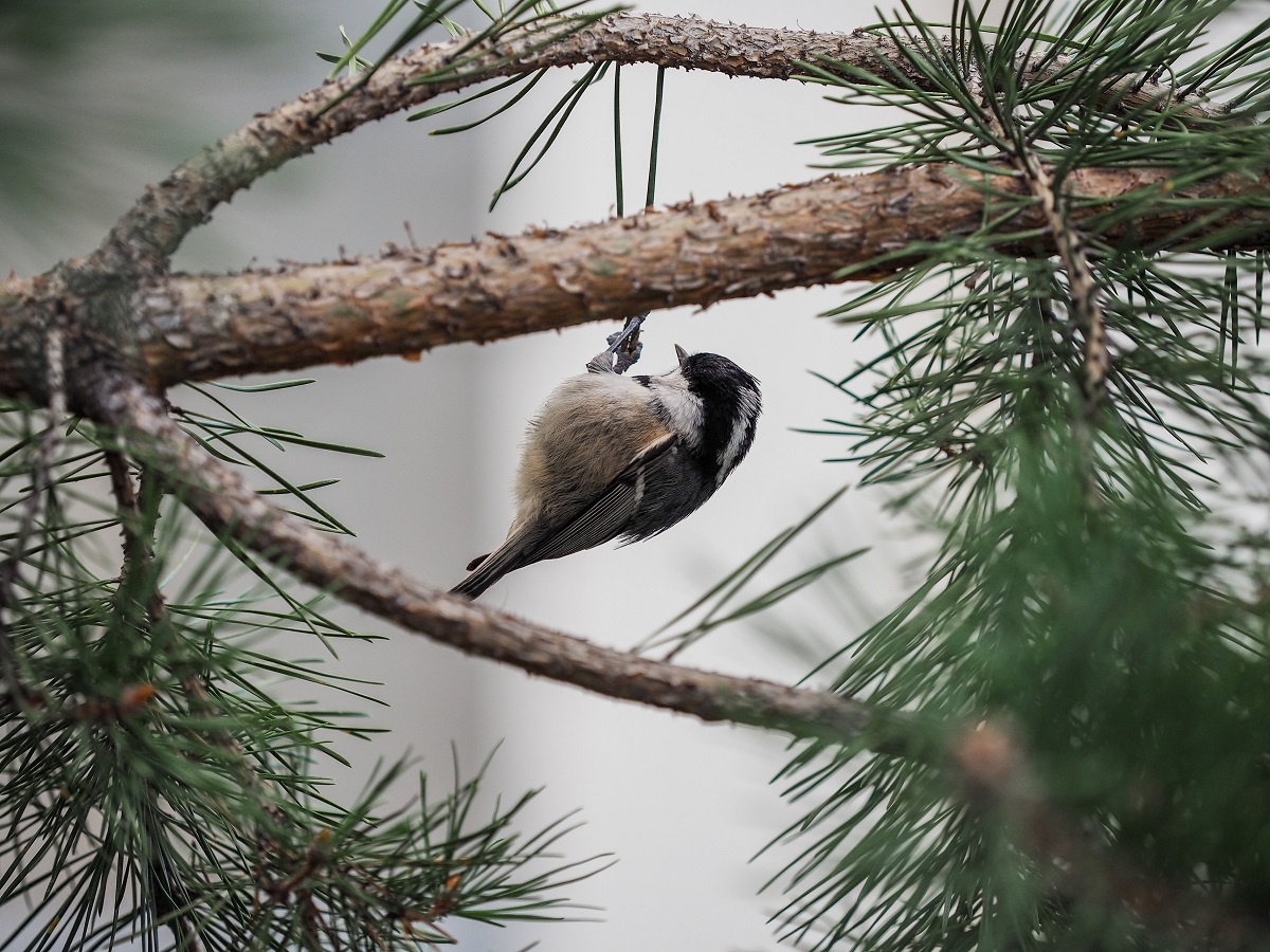 Фото: Александр Плонский / «Агроэксперт»