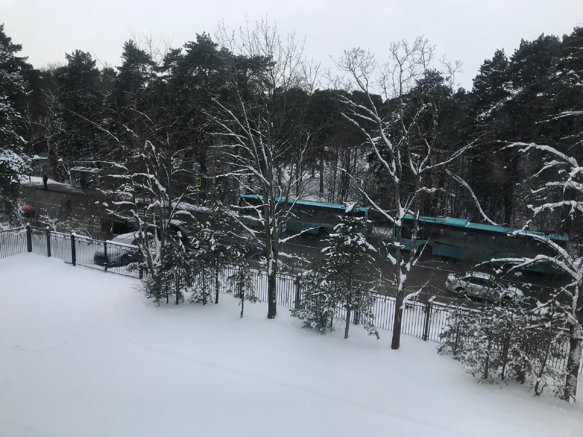 Настоящий крещенские морозы у нас под Петербургом. Январь 2026г