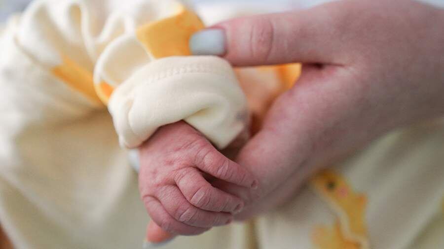    Фото: ИЗВЕСТИЯ/Анна Селина