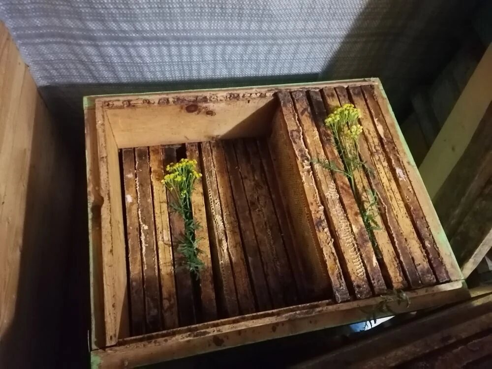 Фото как я собираю откаченные рамки на зимовку.