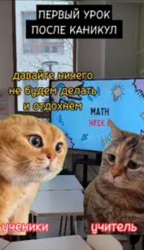 Мем из сети.